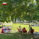 바르샤바 가볼만한 곳 | 현지인 바이브 모코토브 아침 시장 Mokotów Breakfast Fair 솔직 후기
