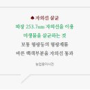 아기숟가락양주점