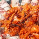 백년 쭈꾸미 이미지