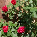 부개주공 이미지