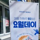 요거트월드아중점