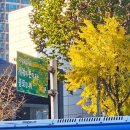 미친피자 메가미트 핫 페퍼로니 피자 &amp; 핫윙 P 사이즈 후기(신설동 동대문직영점)