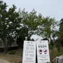 재하목장 | 제주도 15개월 아기랑 가기 좋은 곳 추천, 아침미소목장 솔직후기 🐄🌿