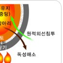 서무수건강명가