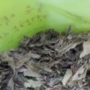 오중한한의원 이미지