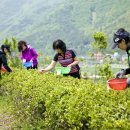두륜산도립공원 관리사무소 이미지