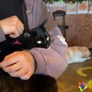 해송 스테이 | [강릉여행] 주문진 1박 2일 무계획 코스 총정리