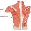 PT 라잍 | [공지] 북위례 PT 라잍_ 25년 8월의 후기