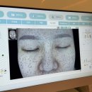 홍당무 | 서초피부관리 ‘자월에스테틱’ 홍당무힐러 솔직후기