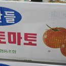(마감)동양종 찰토마토 5번과 판매 이미지