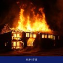 모과집민박