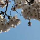 덕곡(중앙) 이미지