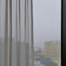 더엠 | 제주 서귀포 호텔 더엠 가성비 좋은 숙소 솔직후기