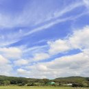 대재 | 통도사 메밀꽃밭 솔직 후기 (10/18 방문) 초록빛 감도는 늦가을 힐링 산책, 개산대재