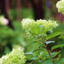 연못 속 풍경 이미지