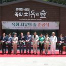 치유의 숲 이미지