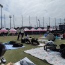 히든카부분정비 | 🌸 2026 진해 체리블라썸 뮤직페스티벌 총정리 (가수, 운영방식, 주차 등)