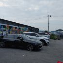 로이펫택시 이미지