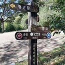 농협사거리 이미지