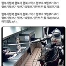 다우약국 | 5주간의 장염 전과 후 뒤죽박죽 일상. 맛있는 것도 먹고 화훼,붓꽃,아스파라거스나누스,뿌리파리 개개끼