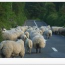 동방아동재활원 이미지