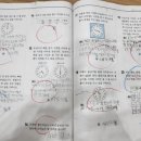 수E쌤독해수학
