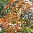 불광역3번출구 (서울병원) 이미지