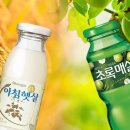 초록햇살 이미지
