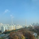 21세기 메딕스 | 히크만 카테터 삽입/ T 세포 채집/ 카티치료 전 가교항암 BR