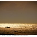 하모리-37 이미지