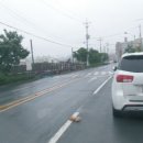 공단게임랜드 이미지