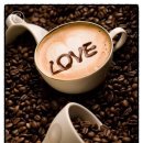 커피 바리스타 2급 과정(주말) 이미지