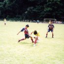 서종체육공원 이미지