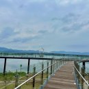 문화광장길 이미지