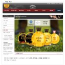 진스크린골프 네이버블로그