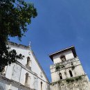 씨네트코리아 이미지