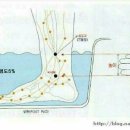 족욕의 효능과 제대로 알고 족욕하기 이미지