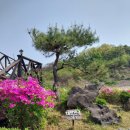 드림레이크펜션 이미지