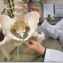 해봄한의원 이미지