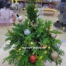 관호초교(병설) 이미지