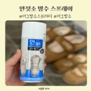 겨울필수템 안젖소 어그 방수스프레이 후기 아기어그 눈비 와도 걱정없는 안젖소 써본 후기