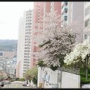 연제구-111 네이버블로그