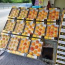 삼화농원 이미지