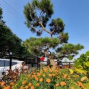 동하펜션 이미지