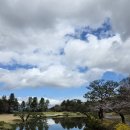 이포로 | 이포CC 라운드 후기 7가지, 코스 특징부터 그린 상태까지 정리