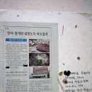 나루터매운탕 이미지