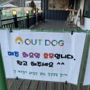 아웃독