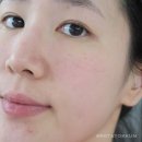 여름철 산뜻한 스킨케어 추천 김정문알로에 젤리토너 앰플 수분크림 순서로 보습관리