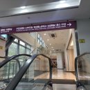 차병원 정문앞 | 쌍둥이였는데 베니싱트윈이 됐어요 — 다낭성난소증후군 자연임신, 분당차병원 후기
