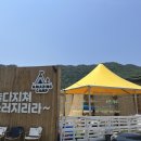 함안제일식육점 | 경남 아이와 가볼만한 곳 창원 마산 어메이징캠프